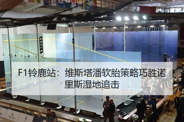 F1铃鹿站：维斯塔潘软胎策略巧胜诺里斯湿地追击